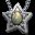 Icon of Star Necklace