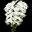 Icon of Phalaenopsis