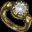 Icon of Ducal Guard's Ring