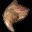 Icon of Cerberus Claw