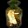 Icon of Yellow Ginseng